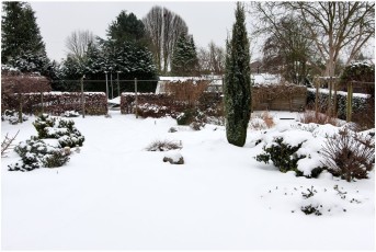 20130120_8521