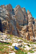 Pyrenees